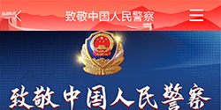 致敬 中国人民警察