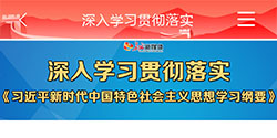 习近平新时代中国特色社会主义思想学习纲要