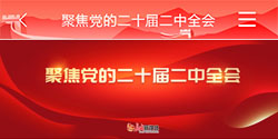 聚焦 党的二十届二中全会